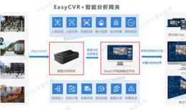 视频监控管理平台,守护安全，智慧视界下的守护者